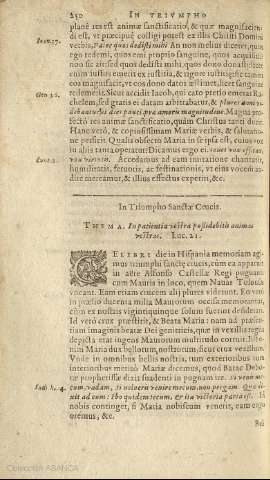 250