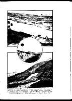 131