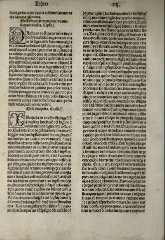 144