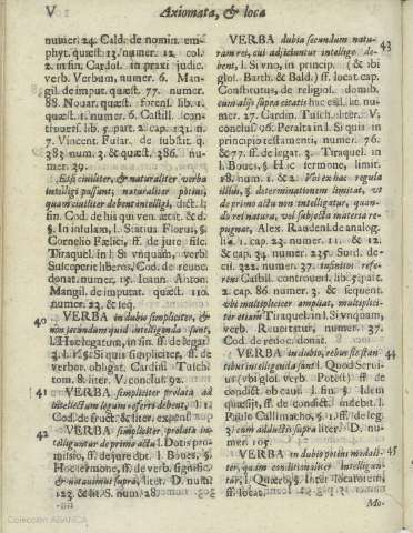 206v