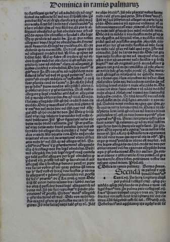 384