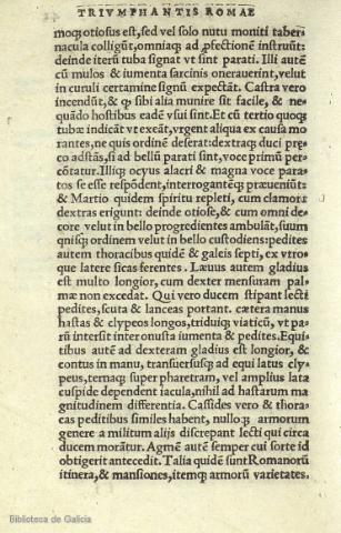 41v