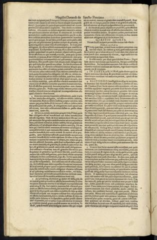 281 v