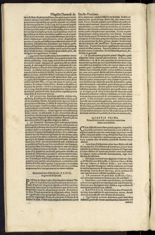 384 v