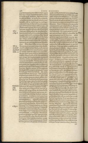 256