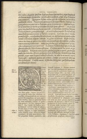 258