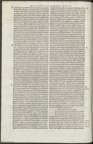 151v
