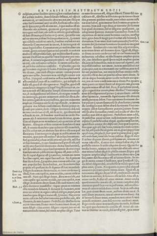 261v