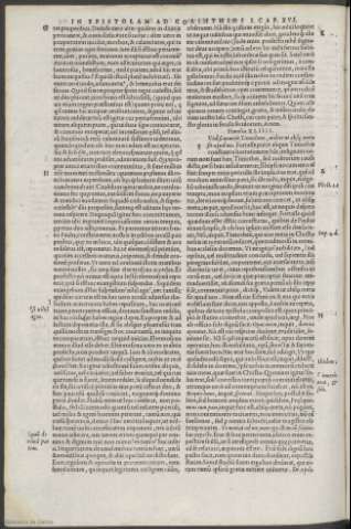 151 v