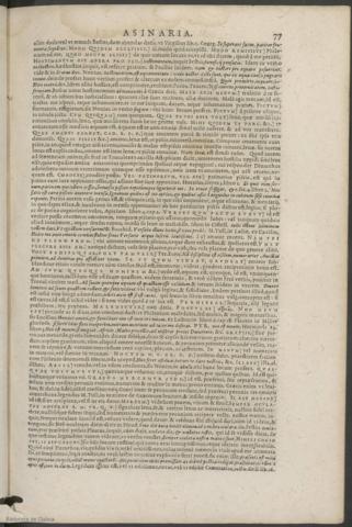 77
