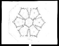 Lamina II