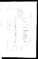 Lamina VII