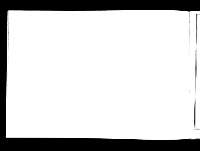 250