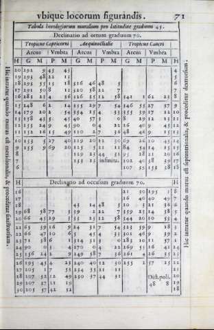 231