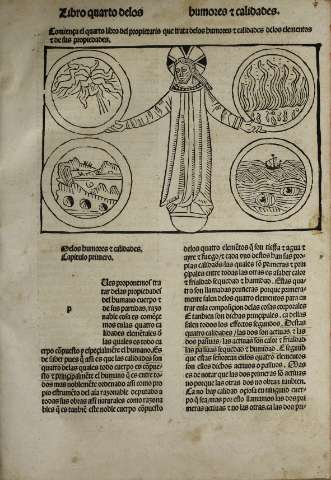 Libro IV