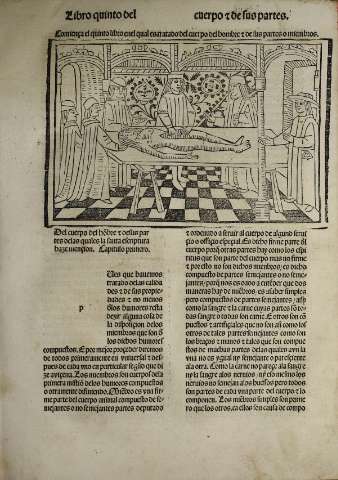Libro V