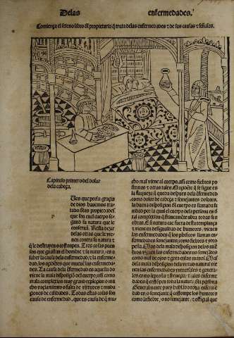 [Libro VII]