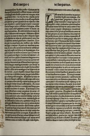 151