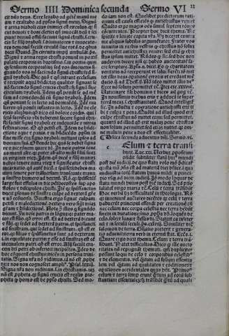 81