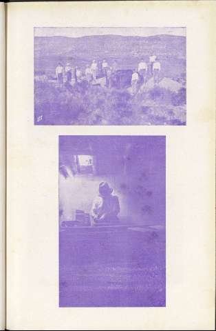225