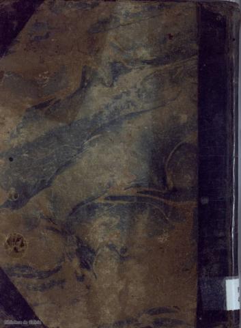 [Cuberta posterior]