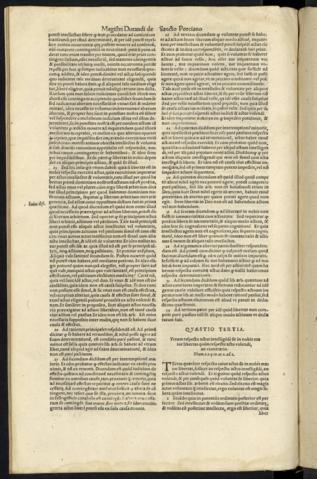 171 v