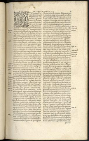 85