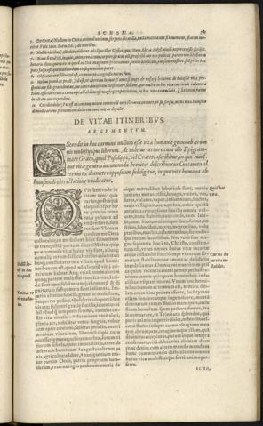781