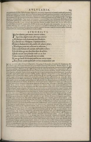 155