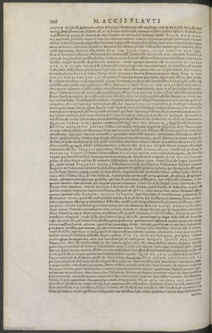 226