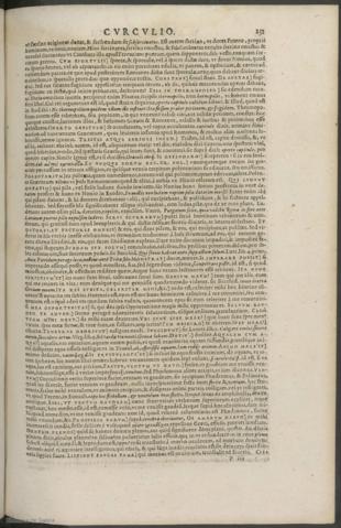 231
