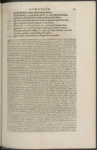 251