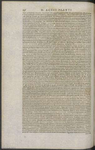 256