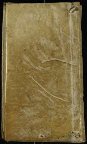 Cuberta posterior