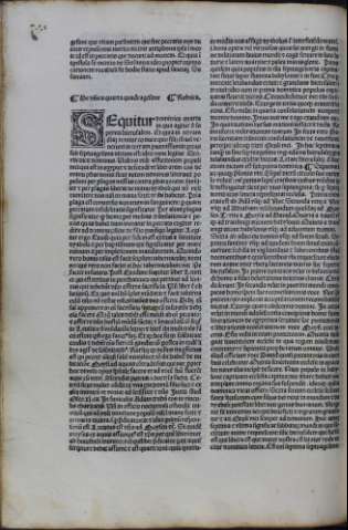 256