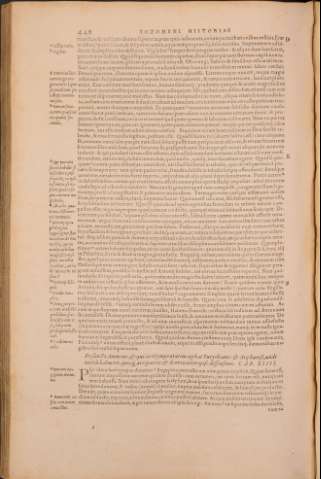 467
