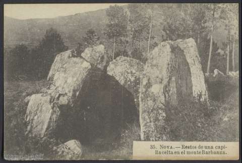 51