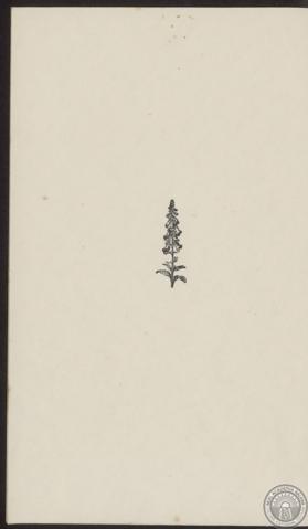 [Cuberta]