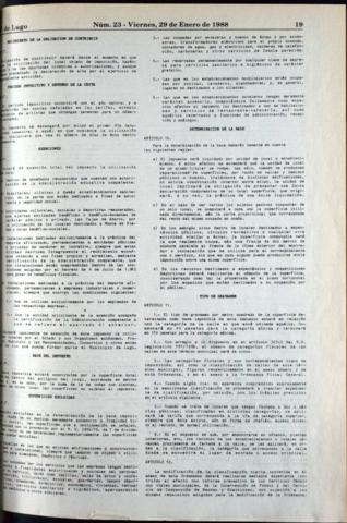 19