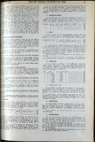 31