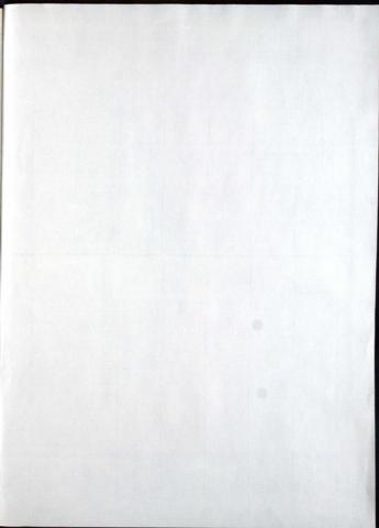 81