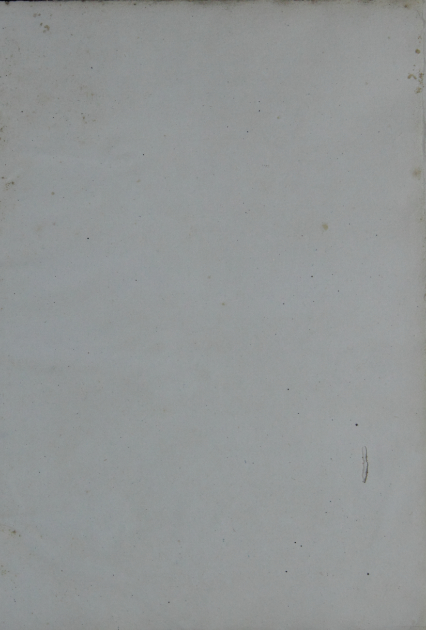 481