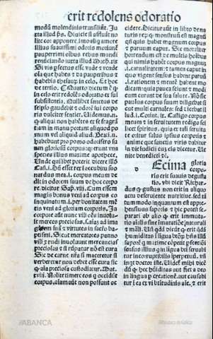 250