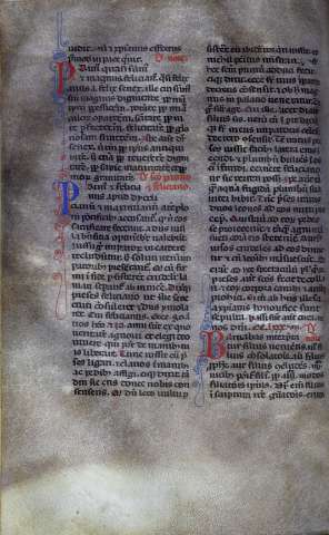 252