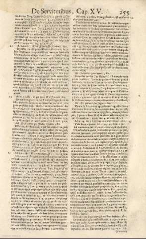 255