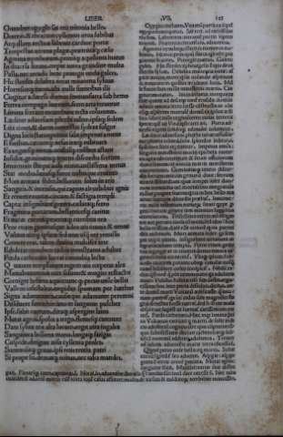245