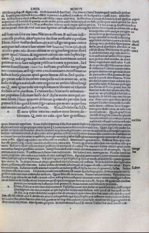 295