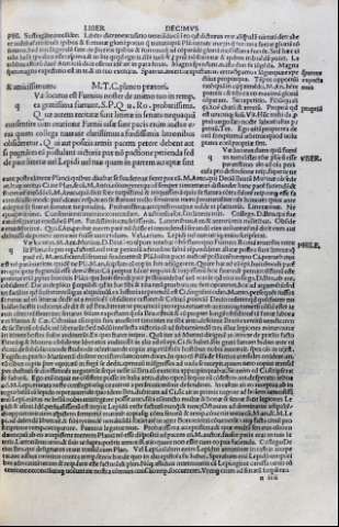 323