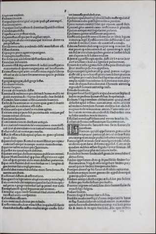 131