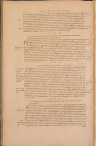 141